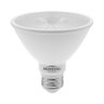 lmpada led par30 e27 98w 6500k 2101