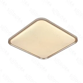 ana beatriz compras 20